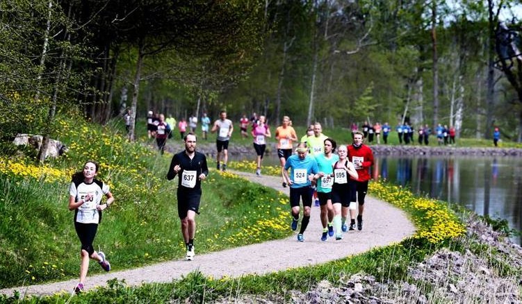 gullvivor och maskrosor.jpg (120239 bytes)